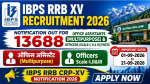 IBPS RRB XV Recruitment 2026